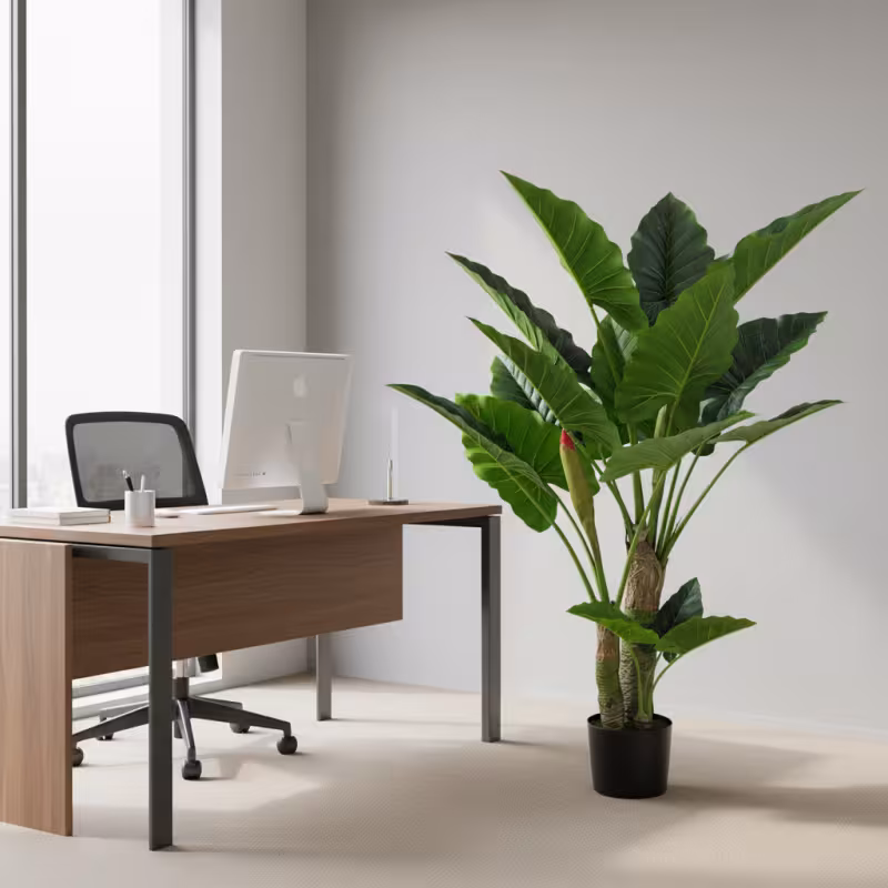 Previzualizare 2: Planta Artificiala Tip Alocasia, 3 tulpini, 160 cm, Verde