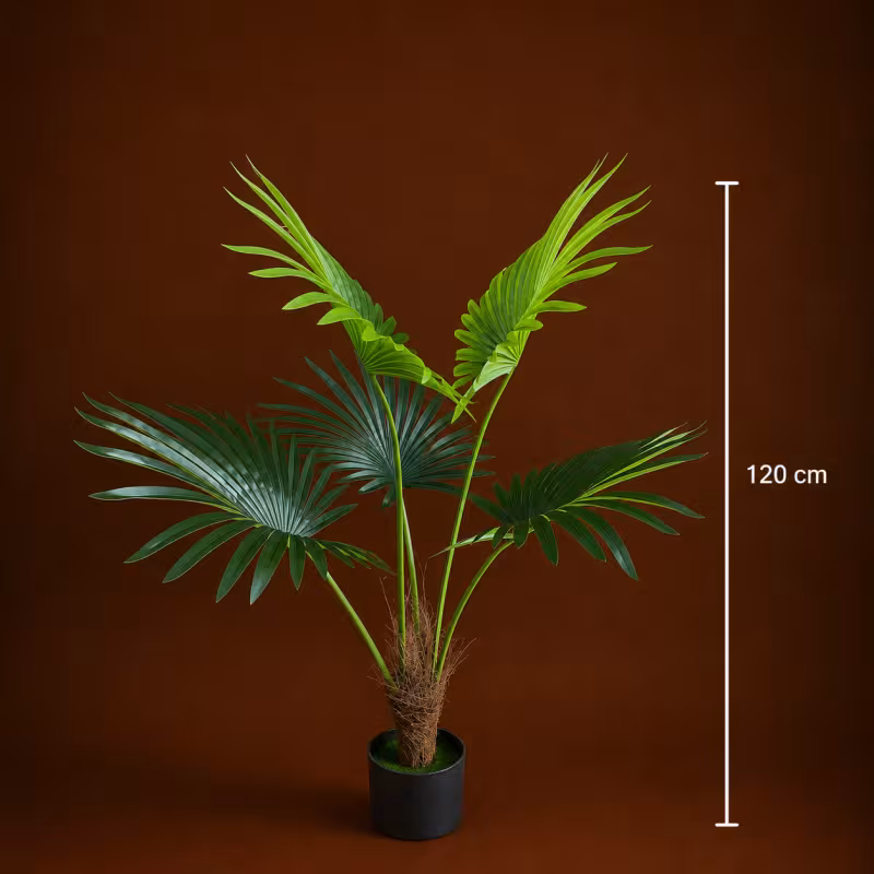 Previzualizare 4: Planta Artificiala Tip Palmier Livistona Evantai, 5 frunze, 120 cm, Verde