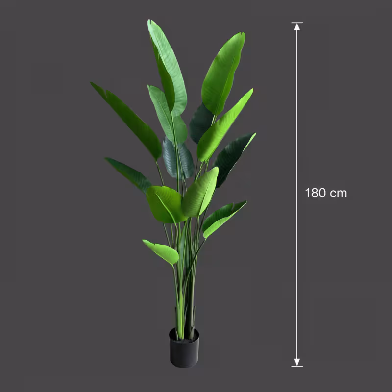 Previzualizare 4: Planta Artificiala Tip Strelitzia Nicolai(Pasarea Paradisului), 180 cm, 13 frunze, Verde