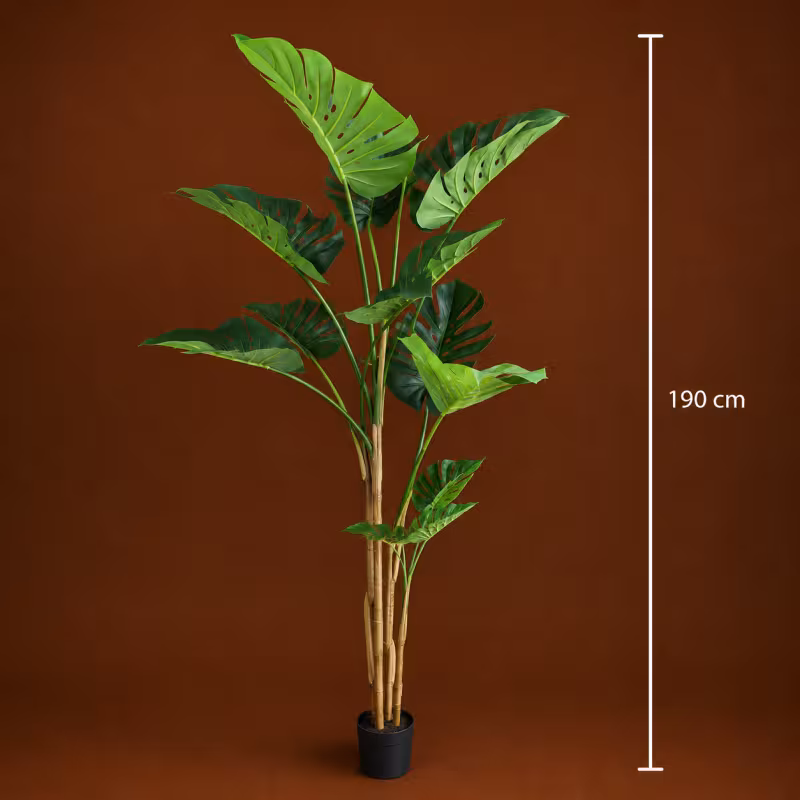 Previzualizare 4: Planta Artificiala Tip Monstera Deliciosa, 12 frunze, 190 cm, Verde