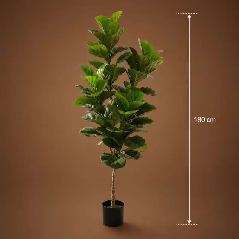 Previzualizare 4: Planta Artificiala Copac Tip Smochin, Frunze cu 4 ramificatii, 180 cm, Verde, cu Ghiveci