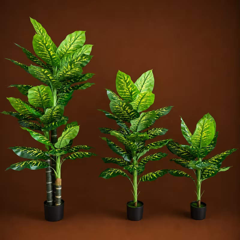 Previzualizare 4: Planta Artificiala Tip Dieffenbachia, 150 cm, Verde