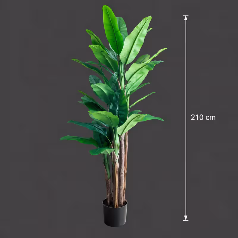 Previzualizare 4: Planta Artificiala Copac Tip Bananier, 210 cm, 31 frunze, Verde, cu Ghiveci