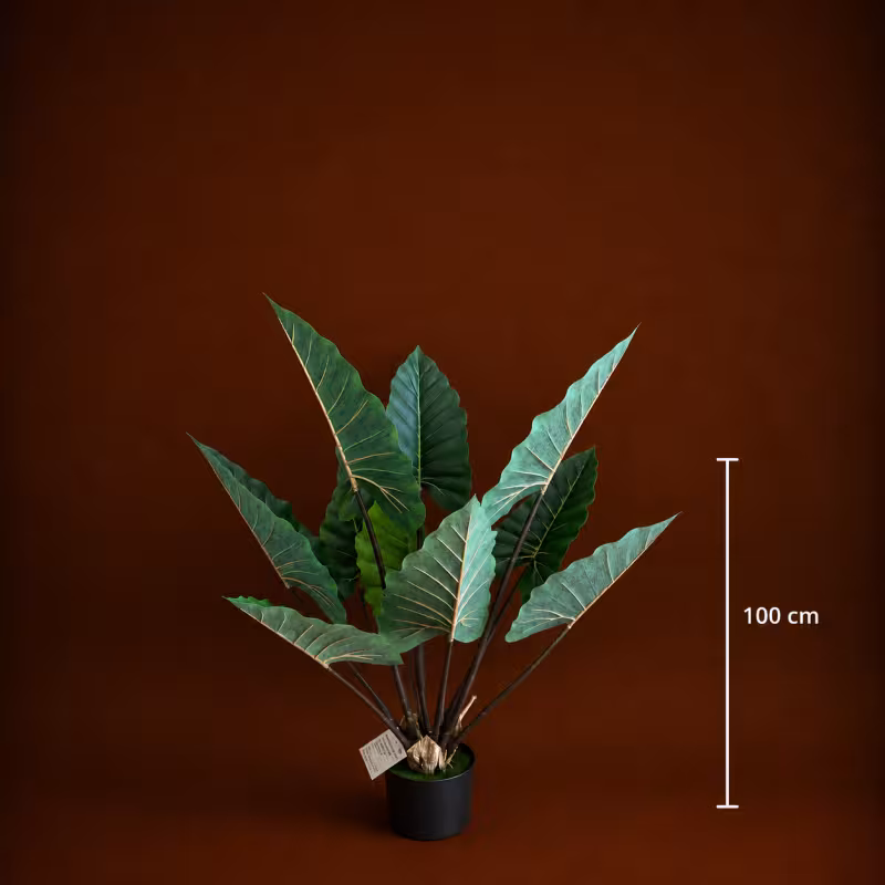 Previzualizare 4: Planta Artificiala Tip Alocasia Cu Frunze Late, 100 cm, Verde