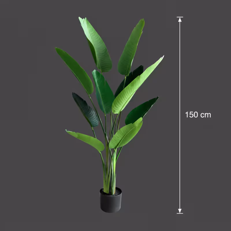 Previzualizare 4: Planta Artificiala Tip Strelitzia Nicolai(Pasarea Paradisului), 150 cm, 10 frunze, Verde