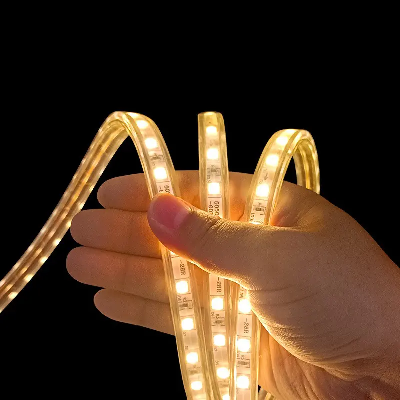 Previzualizare 2: Banda Led 5050, RGB, 220V, 1m