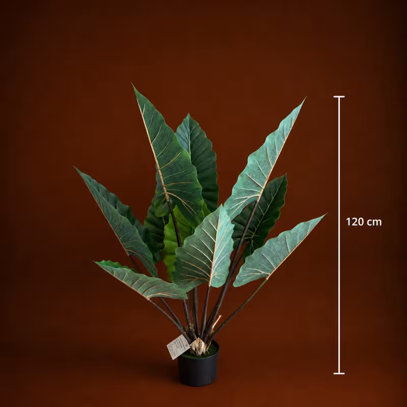 Previzualizare 4: Planta Artificiala Tip Alocasia Cu Frunze Late, 120 cm, Verde