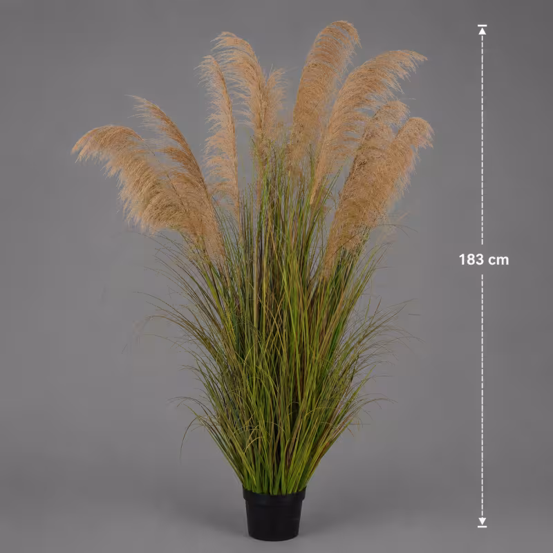 Previzualizare 2: Planta Artificiala Iarba Ornamentala, 183cm, cu 13 fire, Stuf si Iarba, Verde Tomnal, Fara Ghiveci