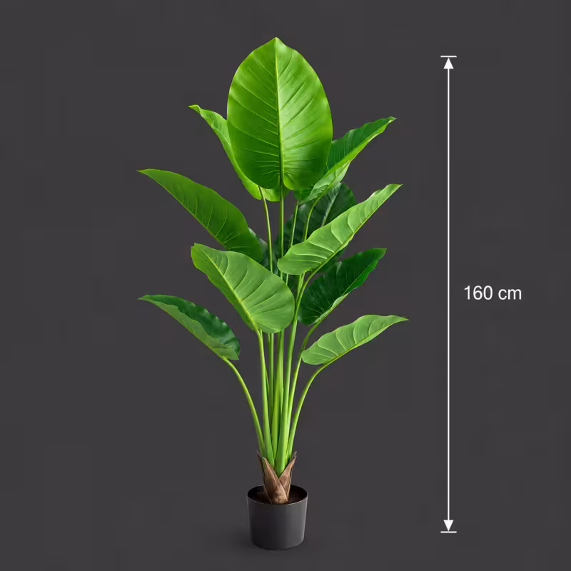 Previzualizare 4: Planta Artificiala Tip Strelitzia, 160 cm, 12 frunze, Verde