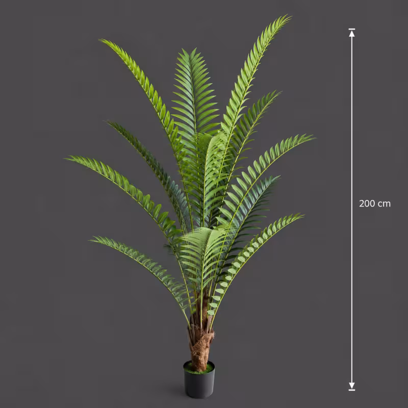 Previzualizare 4: Planta Artificiala Copac Tip Palmier Regal, 200 cm, 15 frunze, Verde, cu Ghiveci
