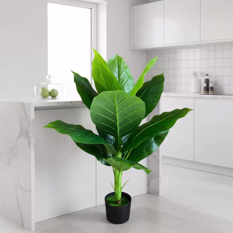 Previzualizare 3: Planta Artificiala Tip Bananier Musa, 100 cm, Verde
