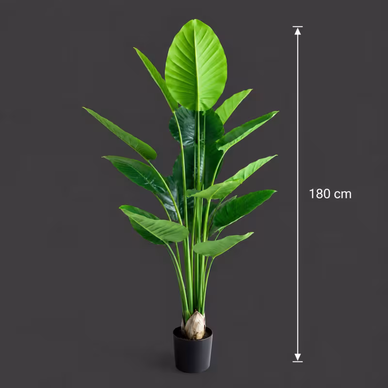 Previzualizare 4: Planta Artificiala Tip Strelitzia, 180 cm, 15 frunze, Verde