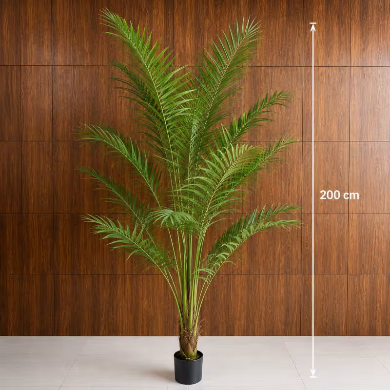 Previzualizare 4: Planta Artificiala Copac Tip Palmier Kentia, Cu Frunze Elegante, 200 cm, 15 frunze, Verde, cu Ghiveci