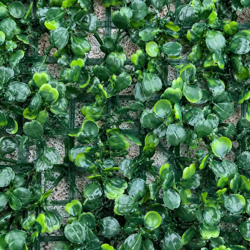 Previzualizare 2: Planta Artificiala Panou de Gard Viu cu Frunze Rotunde, 40 x 60 cm, Verde
