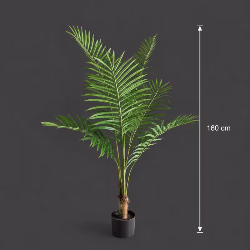 Previzualizare 4: Planta Artificiala Copac Tip Palmier Kentia, Cu Frunze Elegante, 160 cm, 7 frunze, Verde, cu Ghiveci