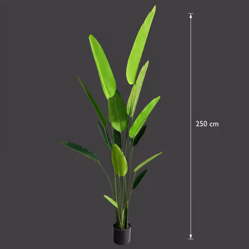 Previzualizare 4: Planta Artificiala Tip Strelitzia Nicolai(Pasarea Paradisului), 250 cm, Verde