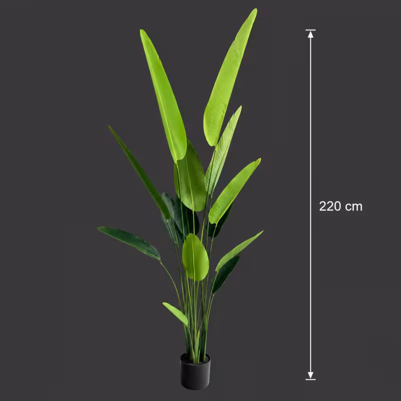 Previzualizare 4: Planta Artificiala Tip Strelitzia Nicolai(Pasarea Paradisului), 220 cm, 13 frunze, Verde