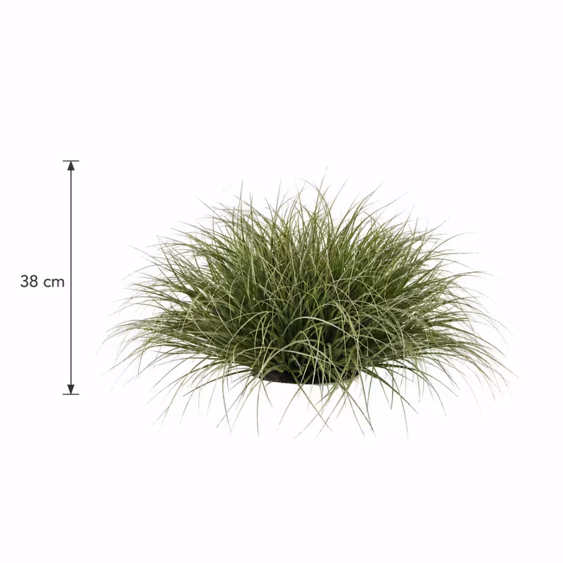 Previzualizare 3: Planta Artificiala Tufa de Iarba Tip Ceapa Curbata, 38 cm, Densitate Mare, Verde Inchis, Fara Ghiveci
