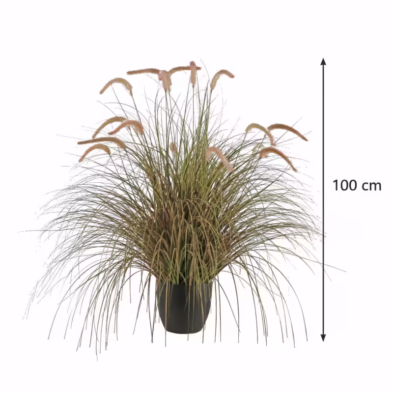 Previzualizare 3: Planta Artificiala Iarba Ornamentala Tip Coada de Vulpe, 100cm, Iarba curbata cu Spice, Roz si Verde, Fara Ghiveci