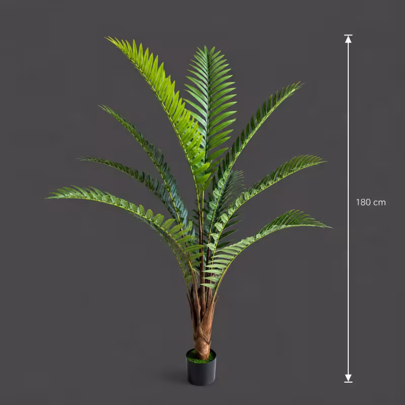 Previzualizare 4: Planta Artificiala Copac Tip Palmier Regal, 180 cm, 10 frunze, Verde, cu Ghiveci