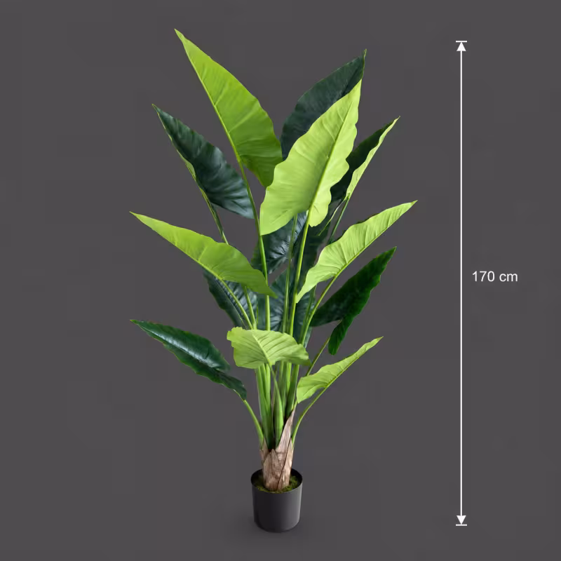 Previzualizare 4: Planta Artificiala Tip Alocasia, 14 frunze, 170 cm, Verde