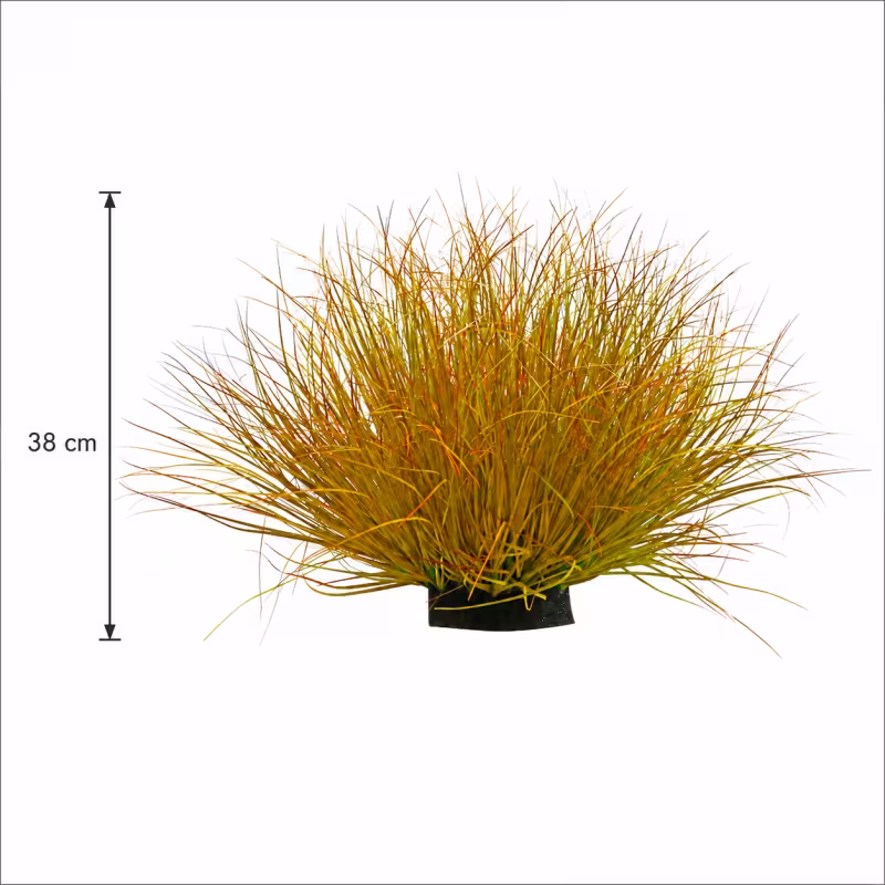 Previzualizare 3: Planta Artificiala Tufa de Iarba Tip Ceapa Curbata, 38 cm, Densitate Mare, Galben si Portocaliu, Fara Ghiveci