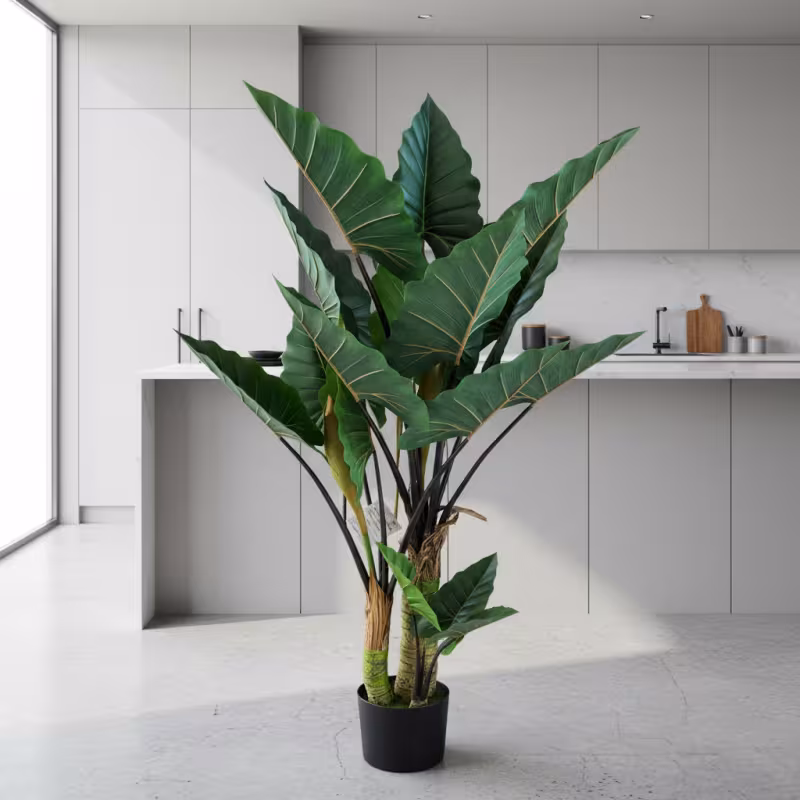 Previzualizare 3: Planta Artificiala Tip Alocasia Cu Frunze Late, 3 trunchiuri, Plastic, 160 cm, Verde