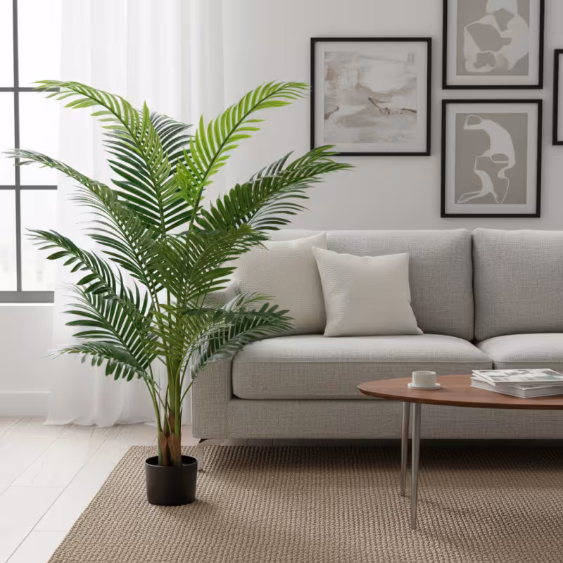 Previzualizare 3: Planta Artificiala Copac Tip Palmier Kentia, 3 tulpini, 17 frunze, 160 cm, Verde, cu Ghiveci