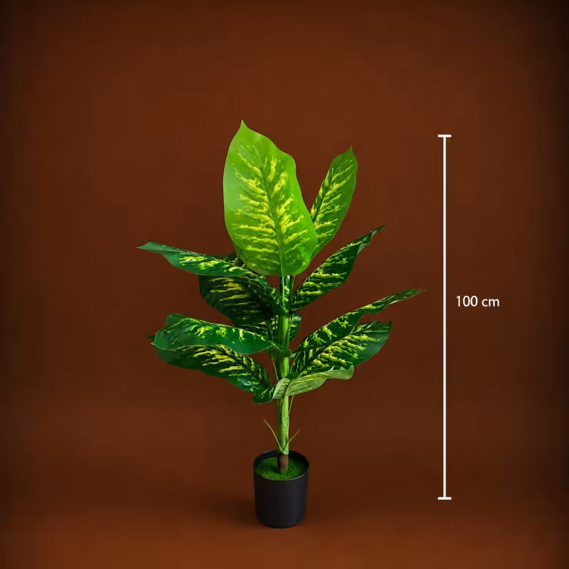 Previzualizare 4: Planta Artificiala Tip Dieffenbachia, 100 cm, Verde
