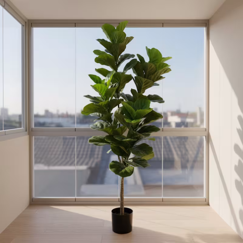 Previzualizare 3: Planta Artificiala Copac Tip Smochin, Frunze cu 4 ramificatii, 180 cm, Verde, cu Ghiveci