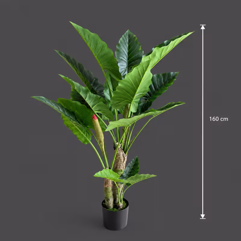 Previzualizare 4: Planta Artificiala Tip Alocasia, 3 tulpini, 160 cm, Verde