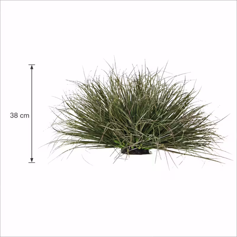 Previzualizare 3: Planta Artificiala Tufa de Iarba Tip Ceapa Curbata, 38 cm, Densitate Medie, Verde Inchis, Fara Ghiveci