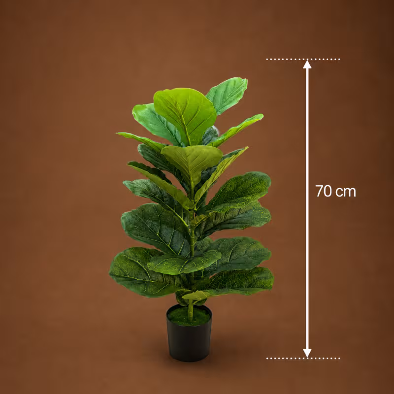 Previzualizare 4: Planta Artificiala Copac Tip Smochin, 70 cm, Verde, cu Ghiveci