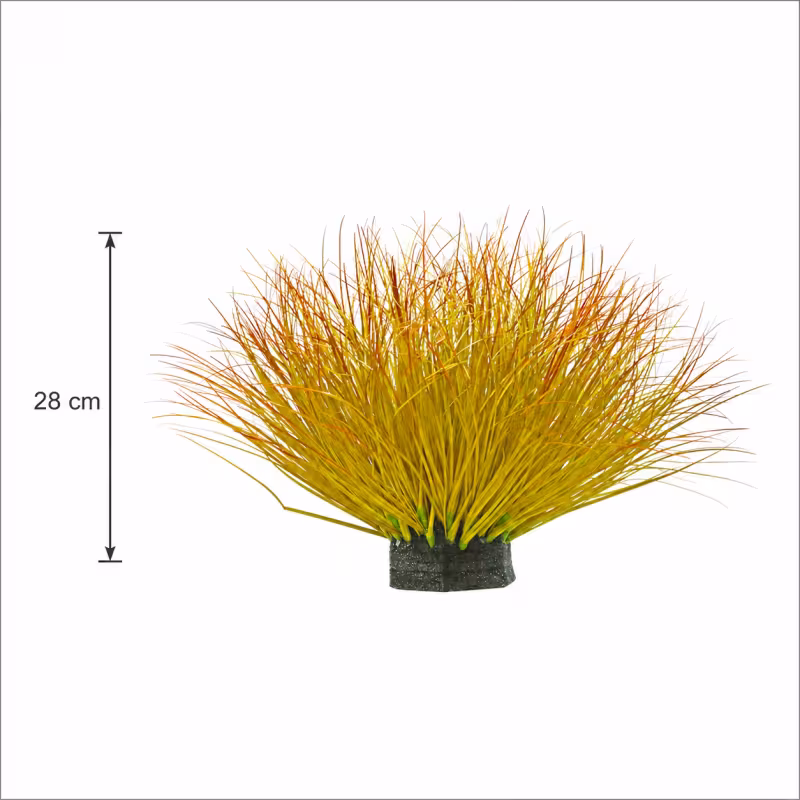 Previzualizare 3: Planta Artificiala Tufa de Iarba Tip Ceapa Curbata, 28 cm, Densitate Redusa, Galben si Portocaliu, Fara Ghiveci