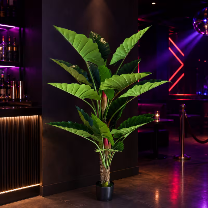 Previzualizare 2: Planta Artificiala Tip Alocasia, 2 tulpini, 190 cm, Verde