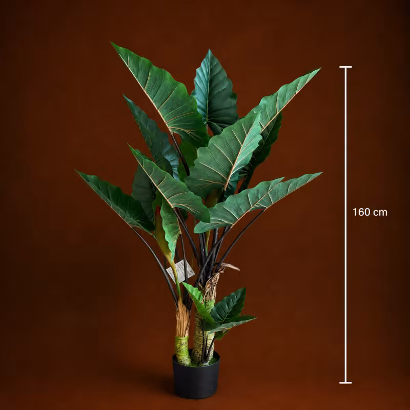 Previzualizare 4: Planta Artificiala Tip Alocasia Cu Frunze Late, 3 trunchiuri, Plastic, 160 cm, Verde