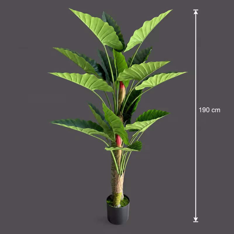 Previzualizare 4: Planta Artificiala Tip Alocasia, 2 tulpini, 190 cm, Verde