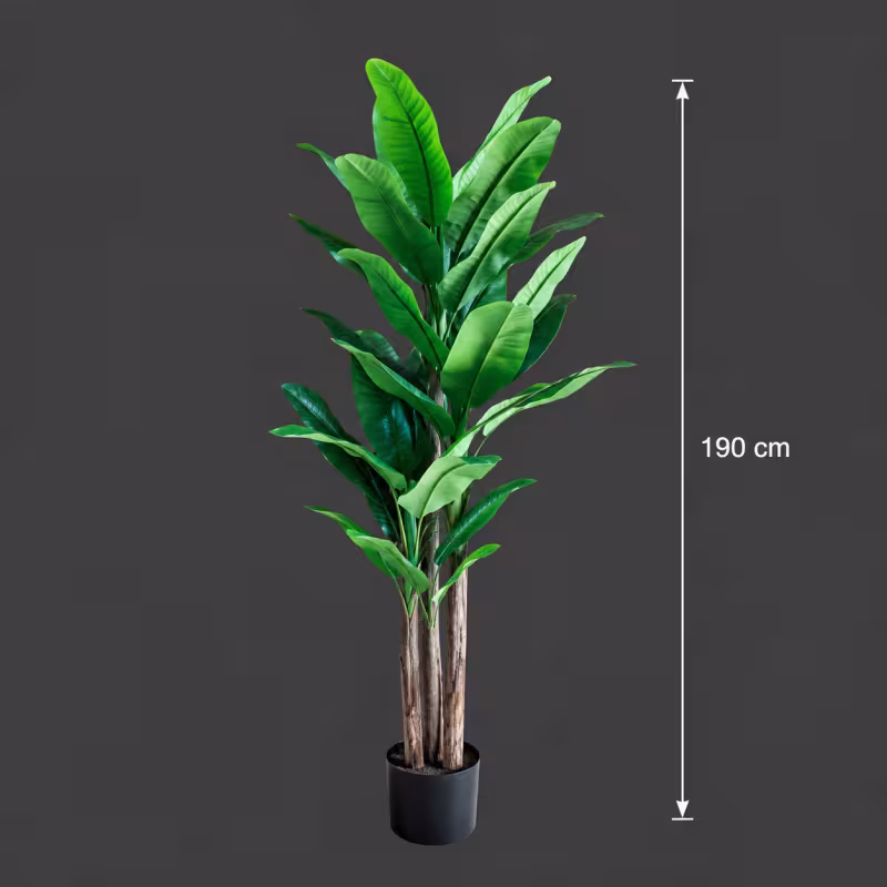Previzualizare 4: Planta Artificiala Copac Tip Bananier, 190 cm, 3 tulpini, 27 frunze, Verde, cu Ghiveci
