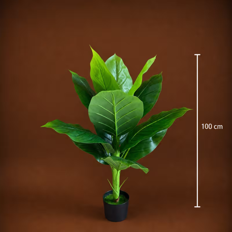 Previzualizare 4: Planta Artificiala Tip Bananier Musa, 100 cm, Verde
