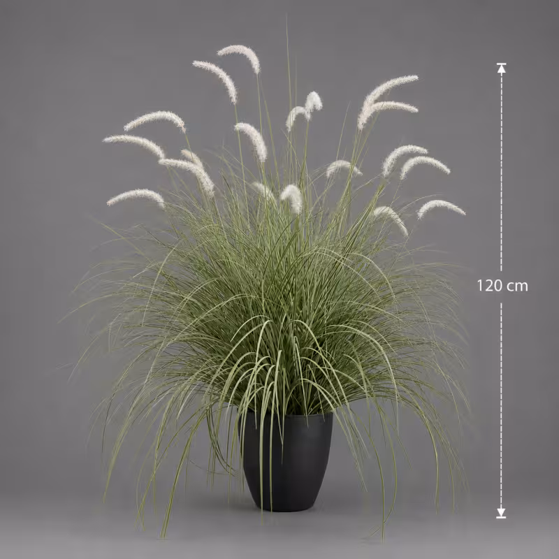 Previzualizare 2: Planta Artificiala Iarba Ornamentala Tip Coada de Vulpe, 120cm, Iarba curbata si Spice, Verde si Alba, Fara Ghiveci