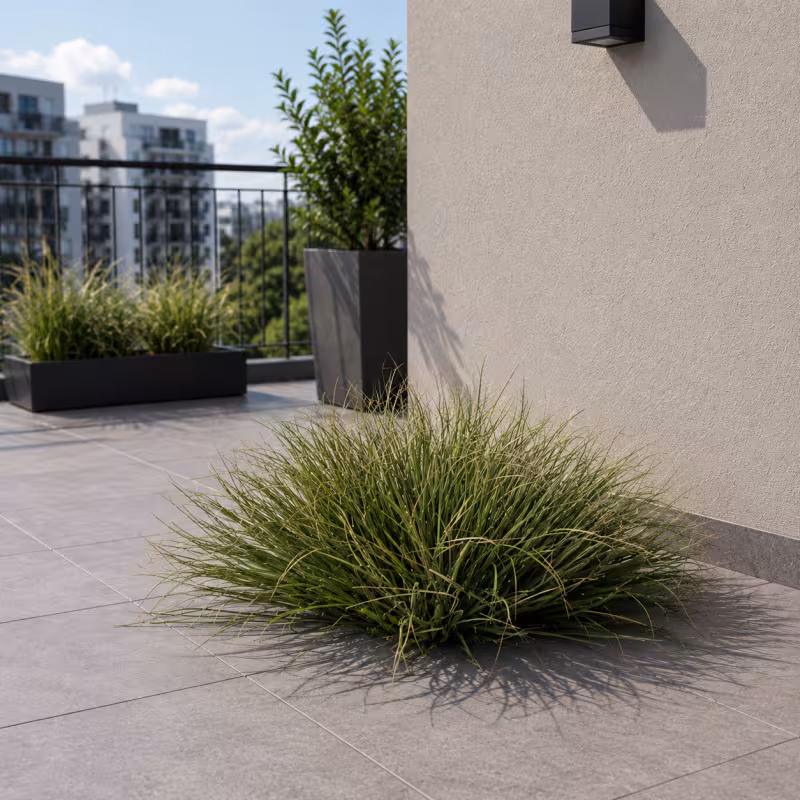 Planta Artificiala Tufa de Iarba Tip Ceapa Curbata, 38 cm, Densitate Medie, Verde Inchis, Fara Ghiveci